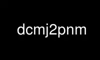 Run dcmj2pnm in OnWorks free hosting provider over Ubuntu Online, Fedora Online, Windows online emulator or MAC OS online emulator