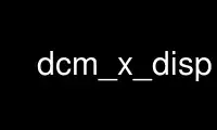 Run dcm_x_disp in OnWorks free hosting provider over Ubuntu Online, Fedora Online, Windows online emulator or MAC OS online emulator