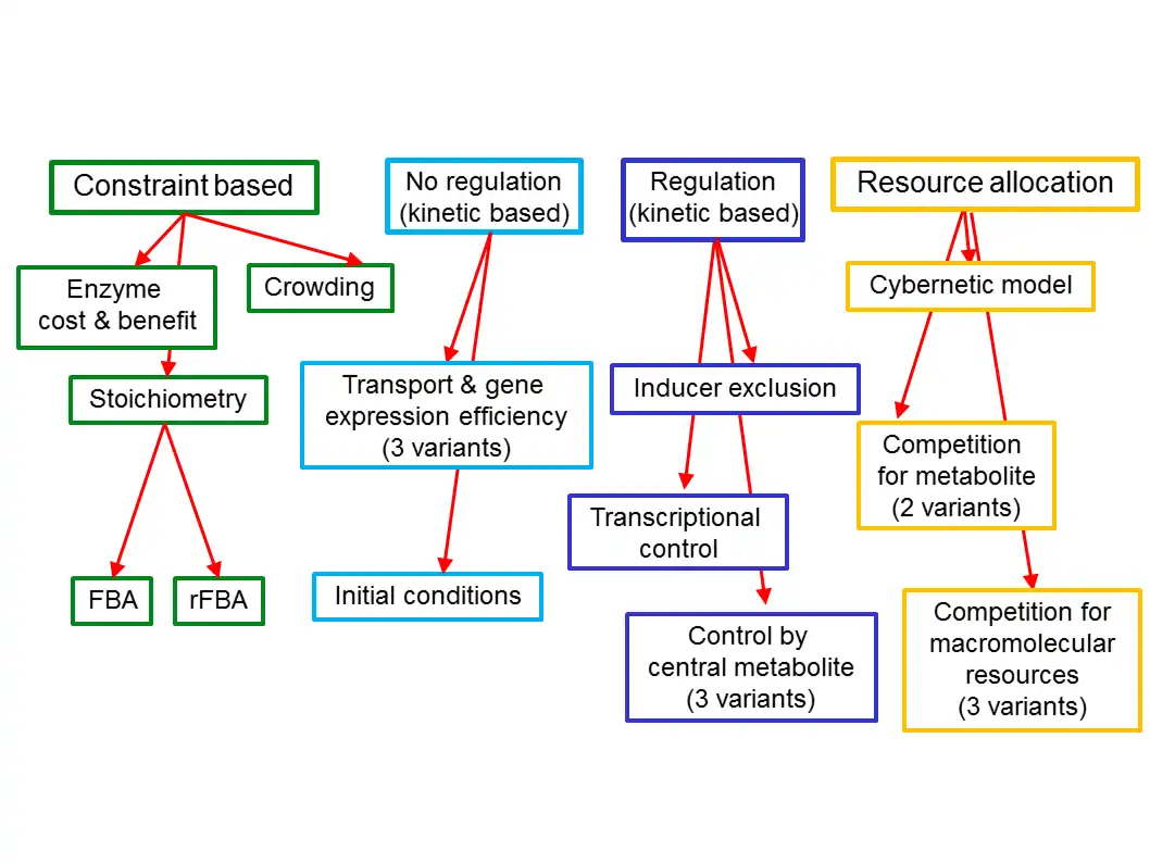 Download web tool or web app diauxic growth model ensemble