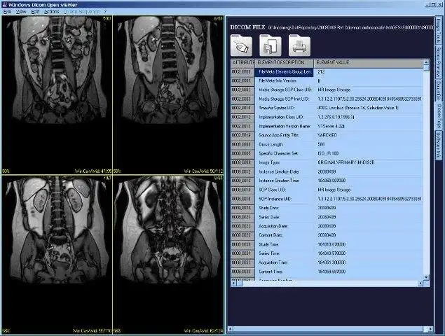 Unduh alat web atau aplikasi web Dicom Widow