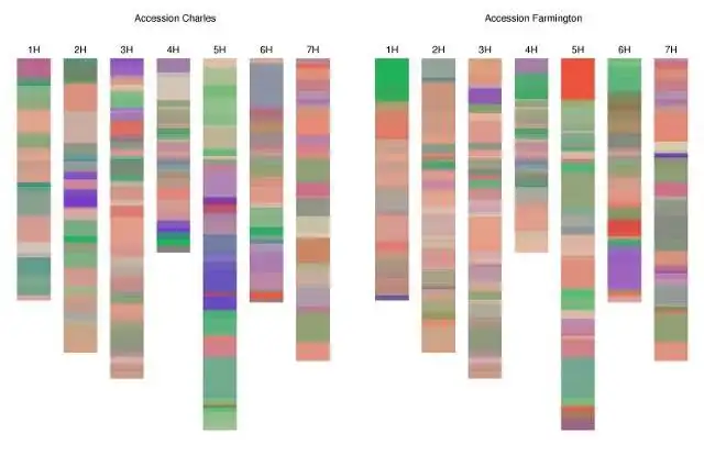 Download web tool or web app Diversity Maps to run in Linux online