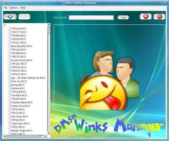 Download web tool or web app DMsn Winks Manager