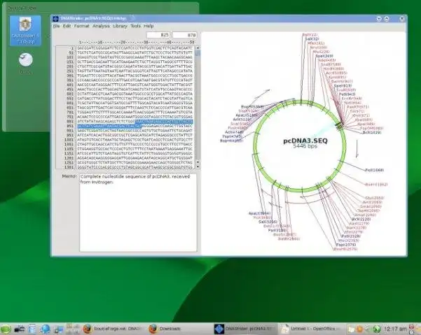 Muat turun alat web atau aplikasi web DNAStrider