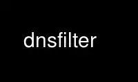 Run dnsfilter in OnWorks free hosting provider over Ubuntu Online, Fedora Online, Windows online emulator or MAC OS online emulator