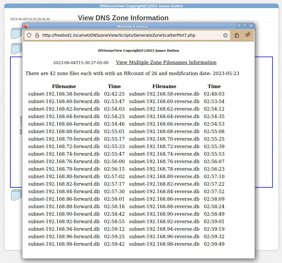 Download web tool or web app DNSzoneView