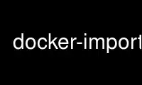 Run docker-import in OnWorks free hosting provider over Ubuntu Online, Fedora Online, Windows online emulator or MAC OS online emulator