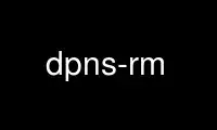 Uruchom dpns-rm w bezpłatnym dostawcy hostingu OnWorks w systemie Ubuntu Online, Fedora Online, emulatorze online systemu Windows lub emulatorze online systemu MAC OS