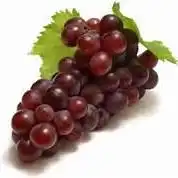 Free download Dragme Windows app to run online win Wine in Ubuntu online, Fedora online or Debian online