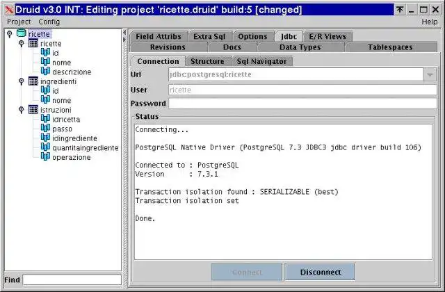 Mag-download ng web tool o web app Druid, Ang Database Manager