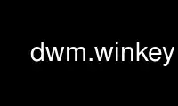 Run dwm.winkey in OnWorks free hosting provider over Ubuntu Online, Fedora Online, Windows online emulator or MAC OS online emulator