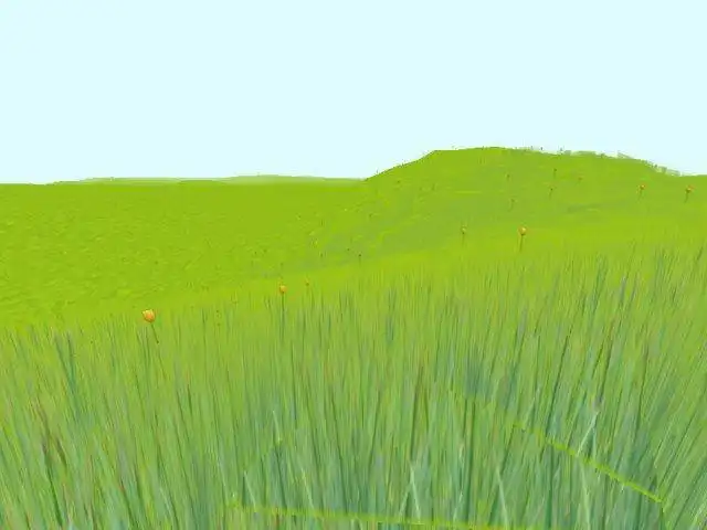 Download web tool or web app DynamicGrass.Heightmap to run in Linux online