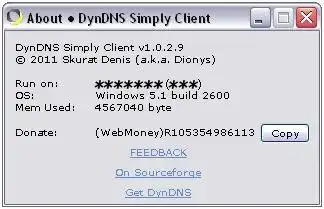 Download web tool or web app DynDNS Simply Client