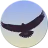 Free download Eagle Mode Linux app to run online in Ubuntu online, Fedora online or Debian online