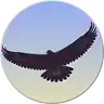 Scarica gratuitamente l'app Eagle Mode Linux per l'esecuzione online in Ubuntu online, Fedora online o Debian online