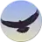 Free download Eagle Mode to run in Windows online over Linux online Windows app to run online win Wine in Ubuntu online, Fedora online or Debian online