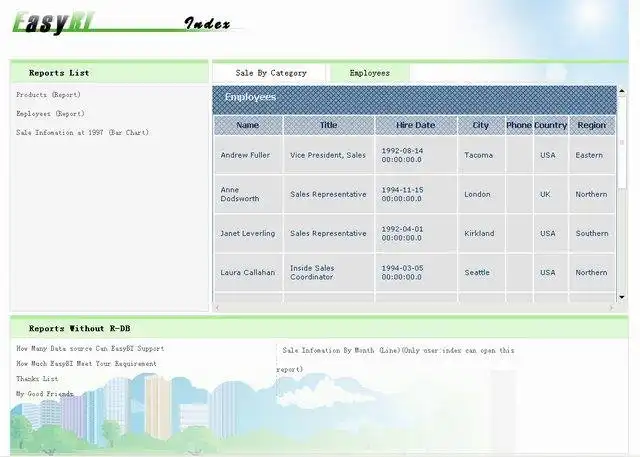Download web tool or web app EasyBI