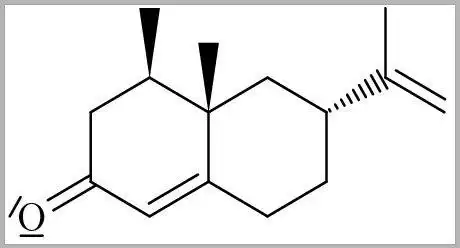 Download web tool or web app EasyChem