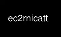 Run ec2rnicatt in OnWorks free hosting provider over Ubuntu Online, Fedora Online, Windows online emulator or MAC OS online emulator
