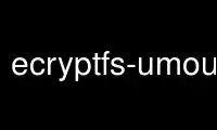 Run ecryptfs-umount-private in OnWorks free hosting provider over Ubuntu Online, Fedora Online, Windows online emulator or MAC OS online emulator