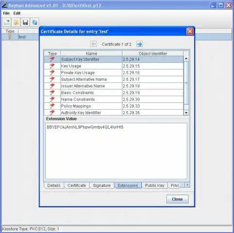 Web aracını veya web uygulamasını indirin Elysian Keytool Advanced GUI