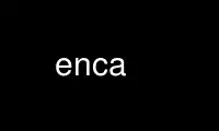 Run enca in OnWorks free hosting provider over Ubuntu Online, Fedora Online, Windows online emulator or MAC OS online emulator