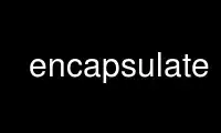 Run encapsulate in OnWorks free hosting provider over Ubuntu Online, Fedora Online, Windows online emulator or MAC OS online emulator