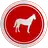 Free download Equus - Horse Education Windows app to run online win Wine in Ubuntu online, Fedora online or Debian online
