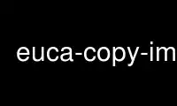 Run euca-copy-image in OnWorks free hosting provider over Ubuntu Online, Fedora Online, Windows online emulator or MAC OS online emulator