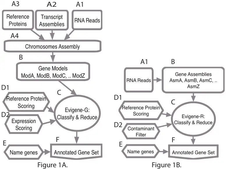 Download web tool or web app EvidentialGene