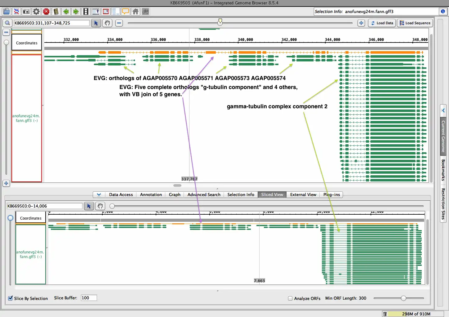 Download web tool or web app EvidentialGene