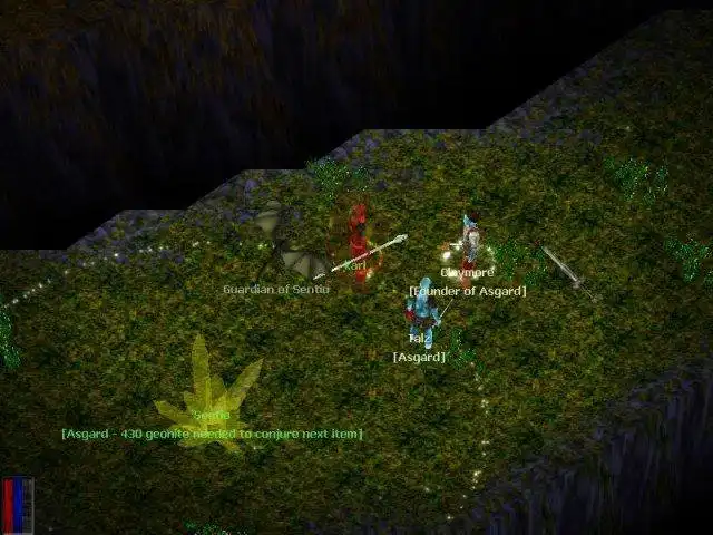 Scarica lo strumento web o l'app web Evidyon - Isometric 3d Fantasy MMORPG da eseguire in Windows online su Linux online