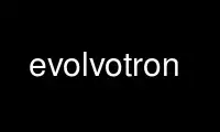 Run evolvotron in OnWorks free hosting provider over Ubuntu Online, Fedora Online, Windows online emulator or MAC OS online emulator