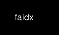 Run faidx in OnWorks free hosting provider over Ubuntu Online, Fedora Online, Windows online emulator or MAC OS online emulator