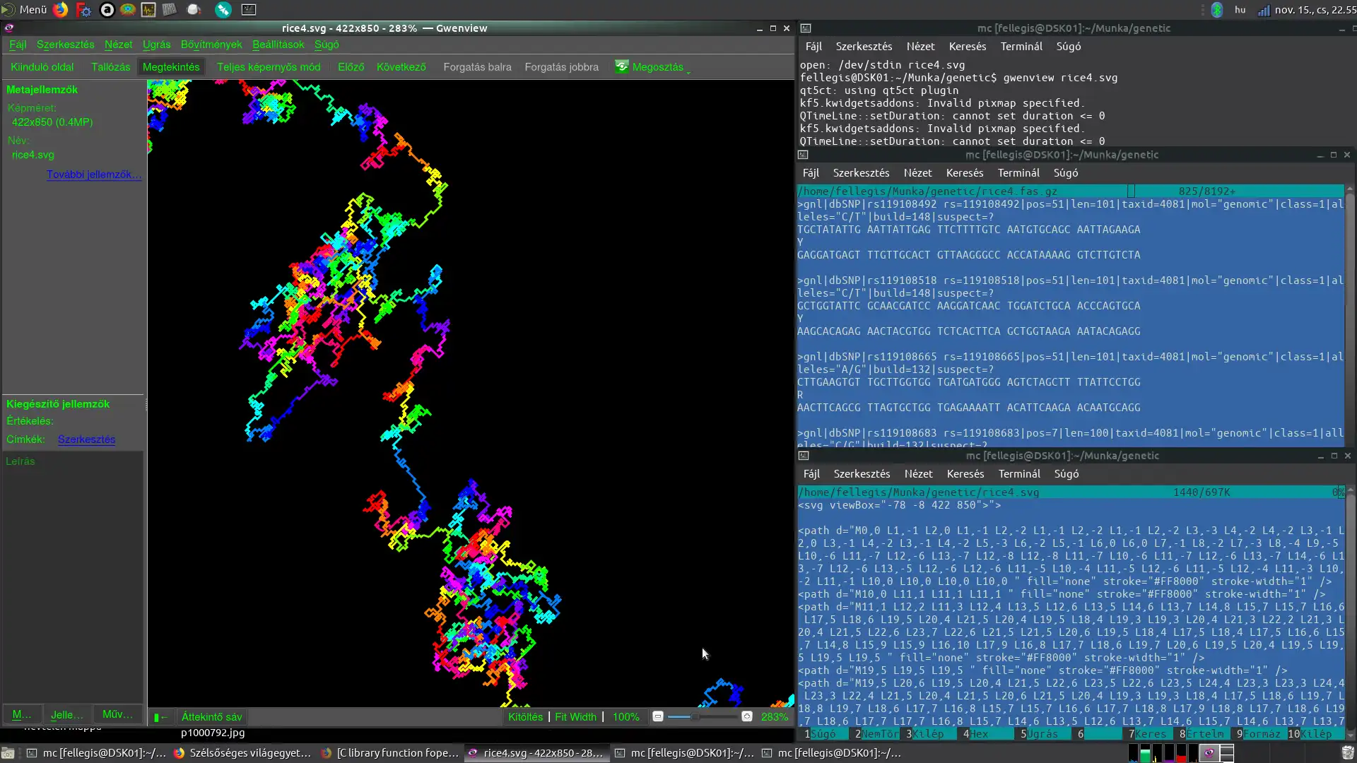 Download webtool of webapp fas2svg om online in Windows te draaien via Linux online