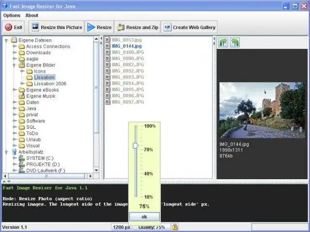 Загрузите веб-инструмент или веб-приложение Fast Image (JPG) Resizer для Java