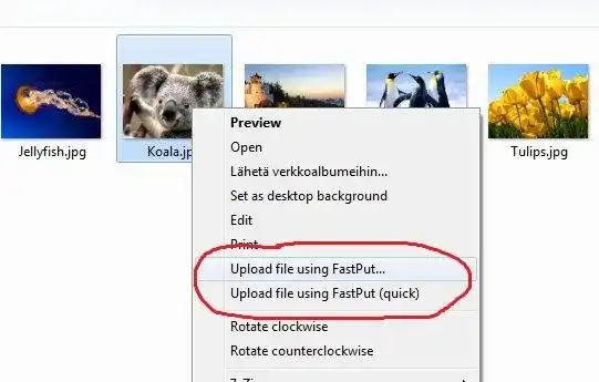 Download web tool or web app FastPut