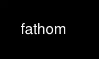 ດໍາເນີນການ fathom ໃນ OnWorks ຜູ້ໃຫ້ບໍລິການໂຮດຕິ້ງຟຣີຜ່ານ Ubuntu Online, Fedora Online, Windows online emulator ຫຼື MAC OS online emulator