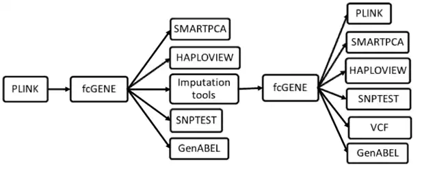 ดาวน์โหลดเครื่องมือเว็บหรือเว็บแอป fcGENE: ตัวแปลงรูปแบบ Genotype เพื่อทำงานใน Linux ออนไลน์