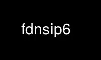 Run fdnsip6 in OnWorks free hosting provider over Ubuntu Online, Fedora Online, Windows online emulator or MAC OS online emulator