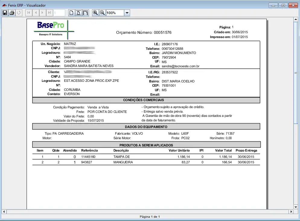 Download web tool or web app FenixReport