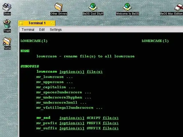 Download webtool of web-app File Rename Utilites