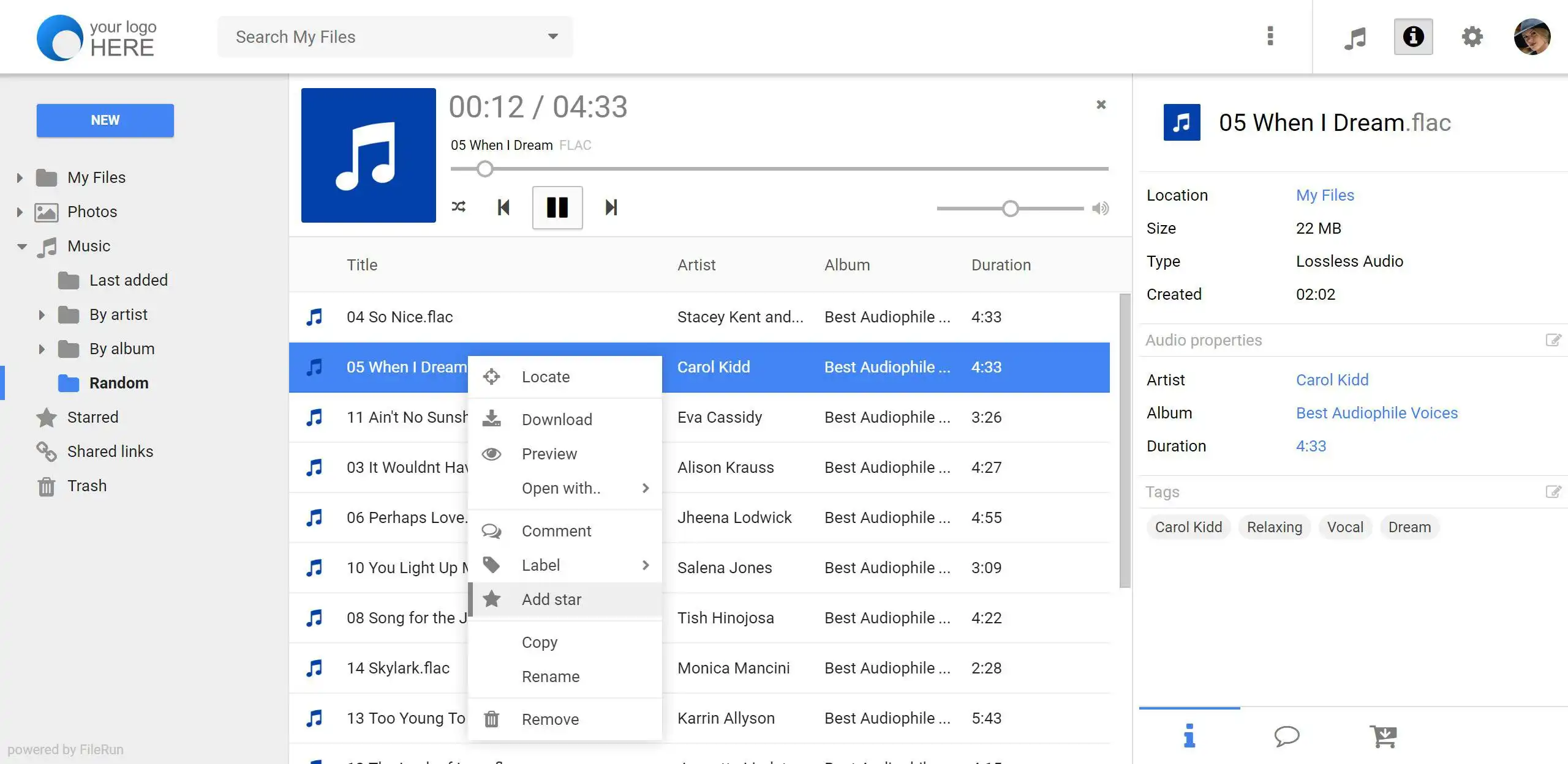 Mag-download ng web tool o web app na FileRun