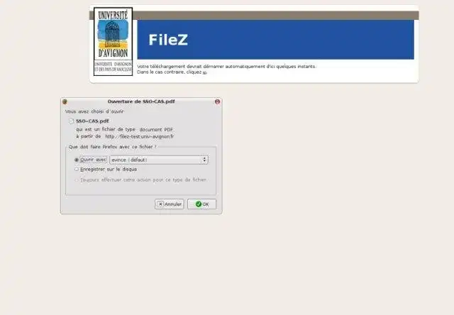 Download web tool or web app FileZ