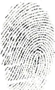 Download web tool or web app fingerprint recognition