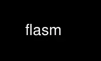 Run flasm in OnWorks free hosting provider over Ubuntu Online, Fedora Online, Windows online emulator or MAC OS online emulator