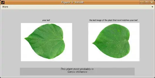 Download web tool or web app Flavia Plant Leaf Recognition System to run in Linux online