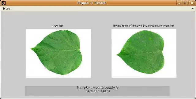 Download web tool or web app Flavia Plant Leaf Recognition System to run in Windows online over Linux online