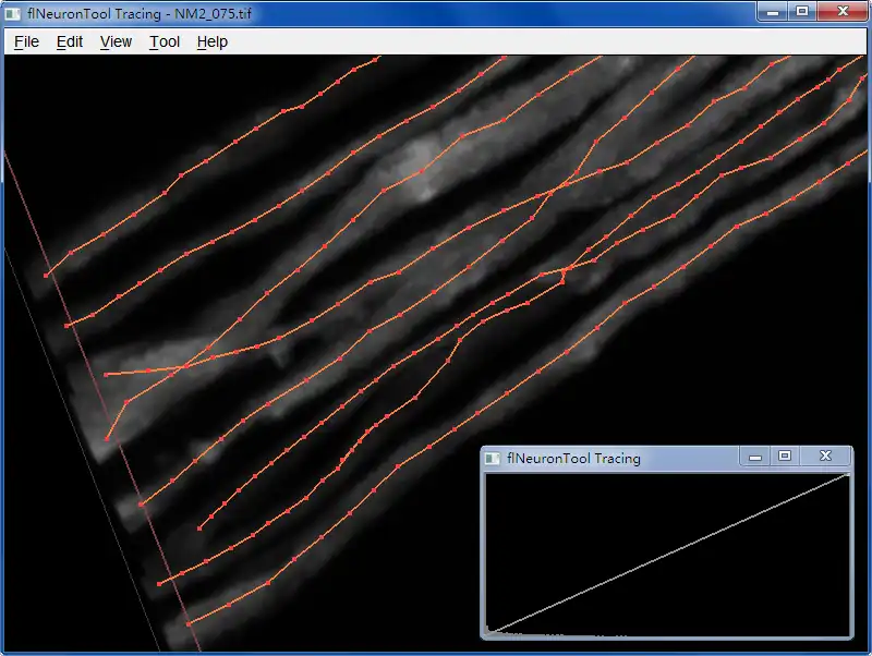 הורד כלי אינטרנט או אפליקציית אינטרנט flNeuronTool