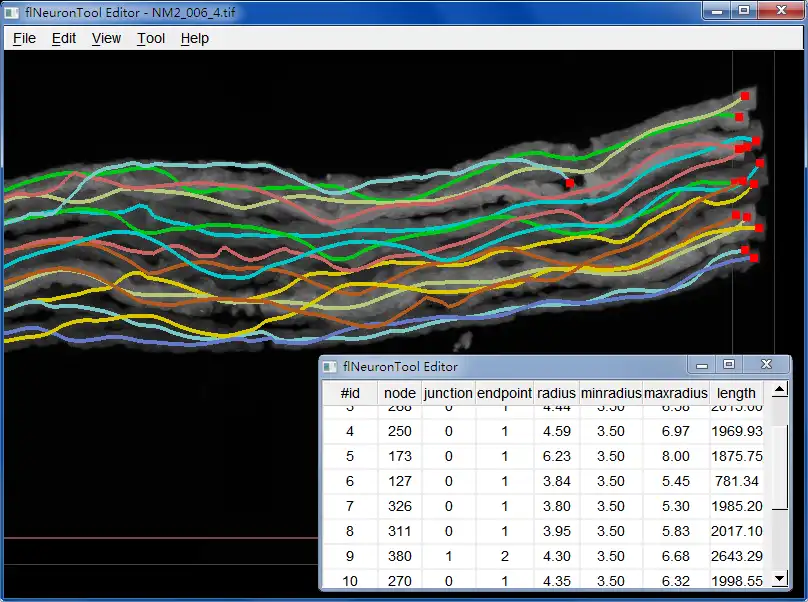 Download web tool or web app flNeuronTool