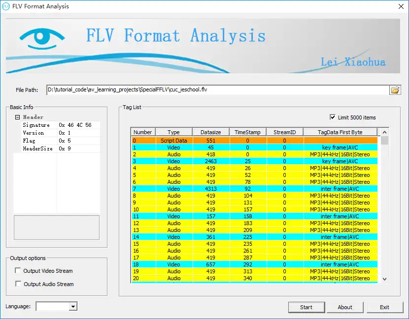 Download web tool or web app FLV Format Analysis